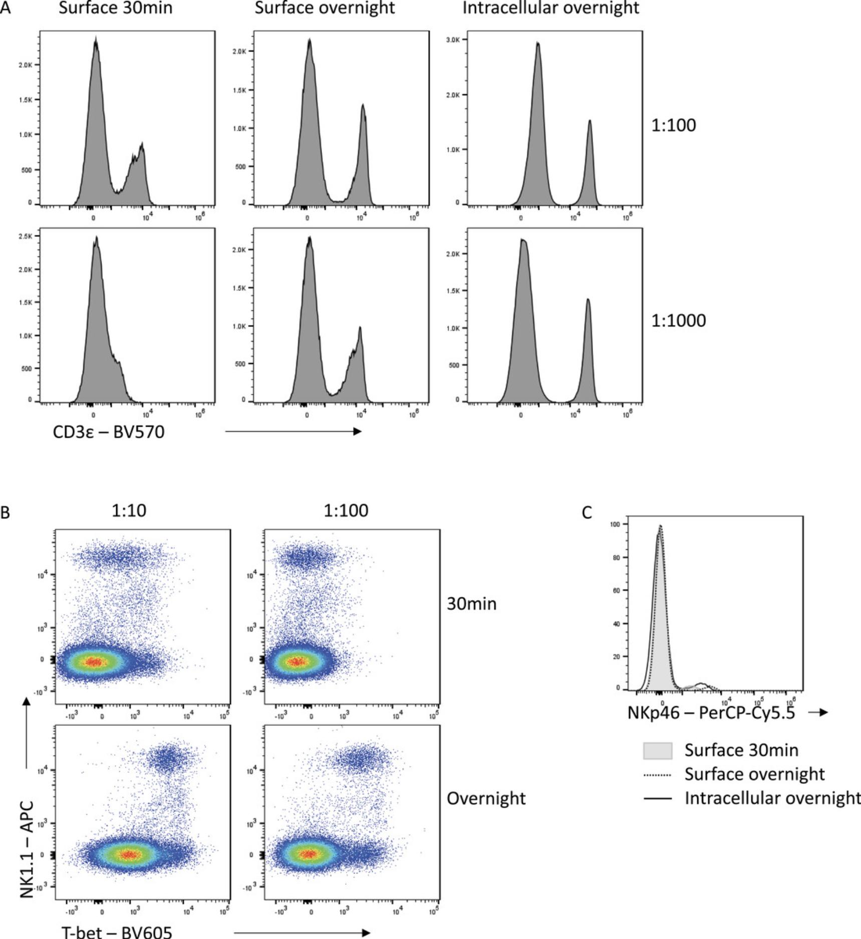Details are in the caption following the image Enhanced detection of low expression markers or dim fluorophores with overnight staining. (A) CD3 – BV570 staining on viable splenocytes at the indicated times and dilutions. (B) T-bet – BV605 staining on NK cells. (C) NKp46-PerCP-Cy5.5 staining. Examples shown are gated on viable non-autofluorescent splenocytes.