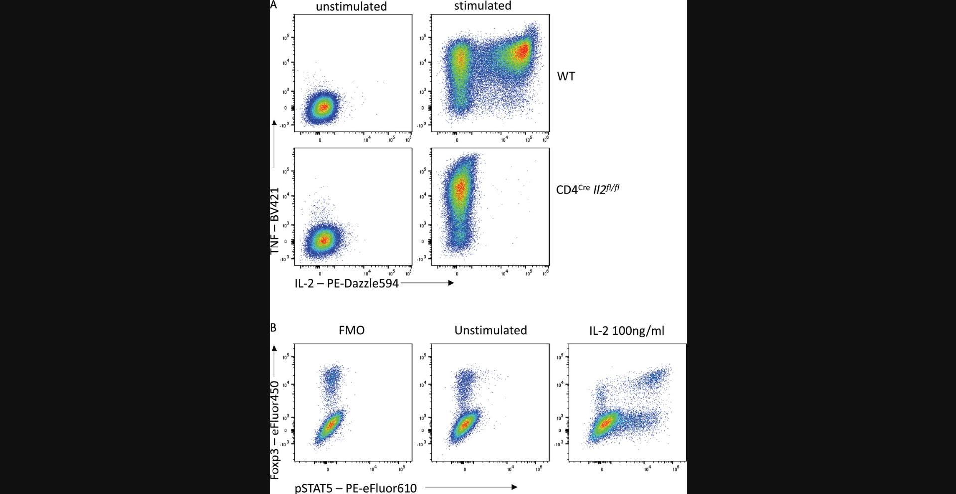 Details are in the caption following the image Controls confirm specificity is maintained with overnight staining. (A) IL-2 staining on WT or IL-2-deficient mouse CD4<sup>+</sup> T cells. (B) pSTAT5 and Foxp3 staining on mouse CD4<sup>+</sup> T cells with or without IL-2 stimulation.
