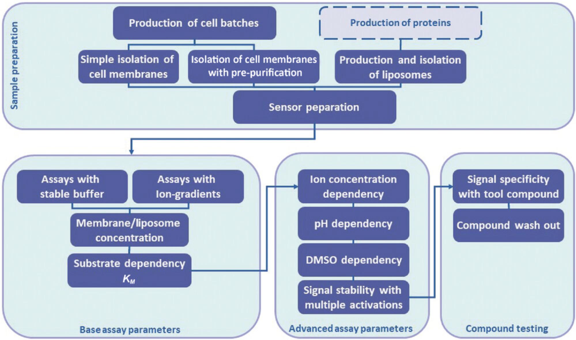 Details are in the caption following the image Overview of the necessary steps during the development of a SURFE²R-based assay for the pharmacological characterization of an unknown and electrogenic solute carrier transporter (SLC transporter).