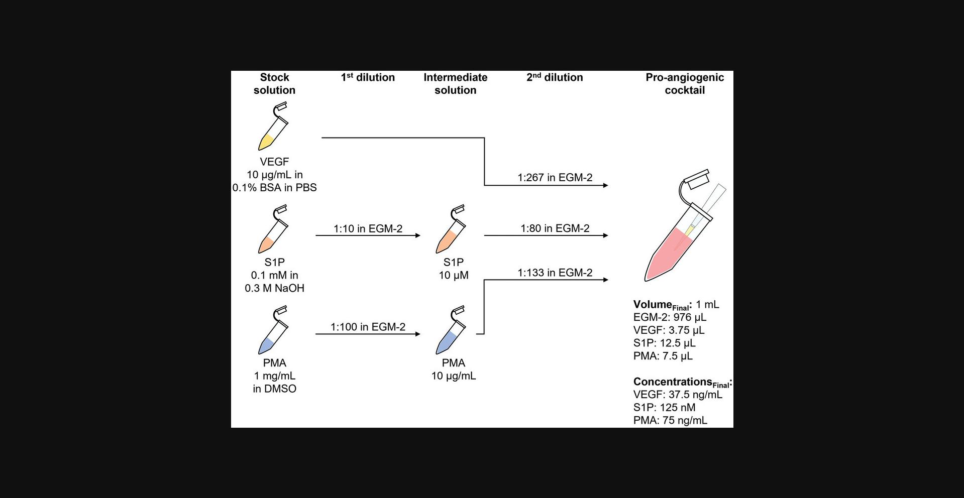 Details are in the caption following the image Scheme to prepare 1 ml of pro-angiogenic cocktail (composition reported at the bottom right).