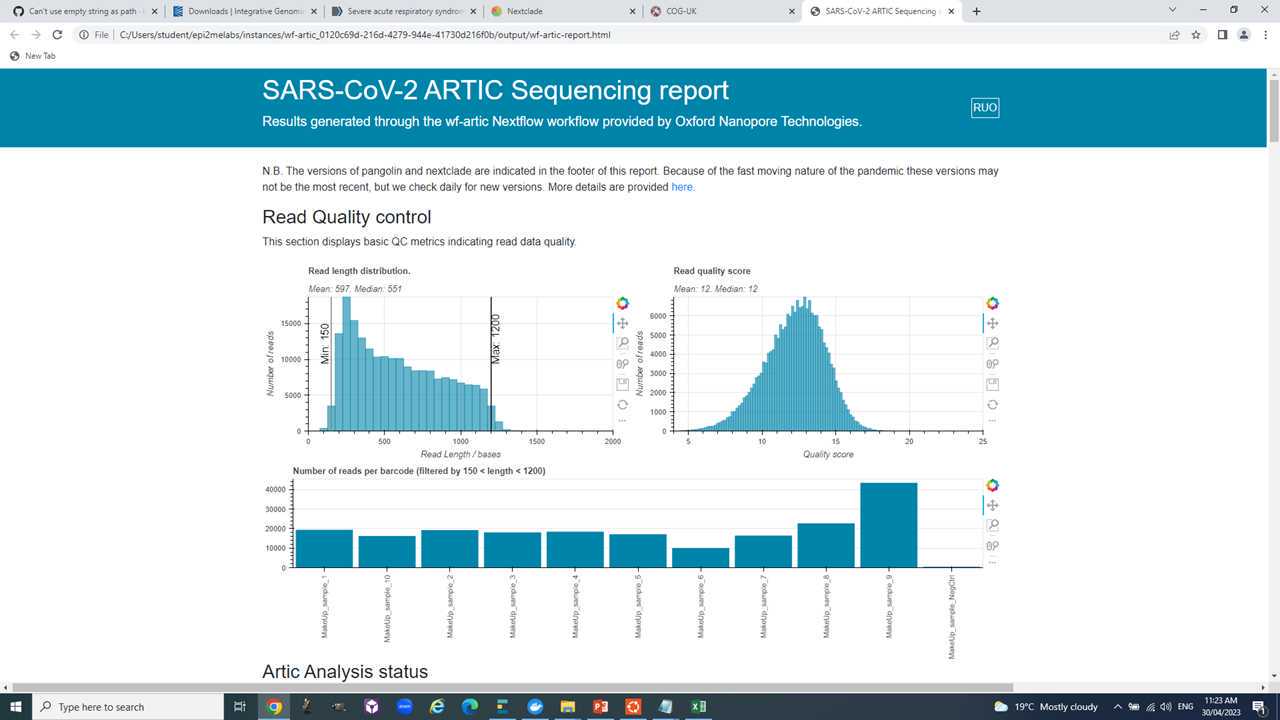 Snap shot of html summary report Snap shot of html summary report