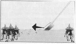 Image: O'Malley. Wing Beats. Image: O'Malley. Wing Beats.