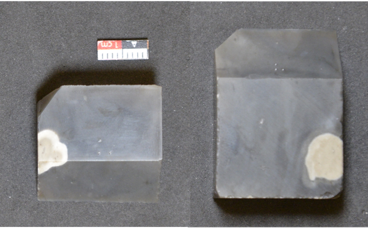 Side corresponding to the dorsal side of the standard saw-cut tool samples. The active edges are at the top of the image. On the left is sample FLT8-1 and on the right is sample FLT8-13. Side corresponding to the dorsal side of the standard saw-cut tool samples. The active edges are at the top of the image. On the left is sample FLT8-1 and on the right is sample FLT8-13.