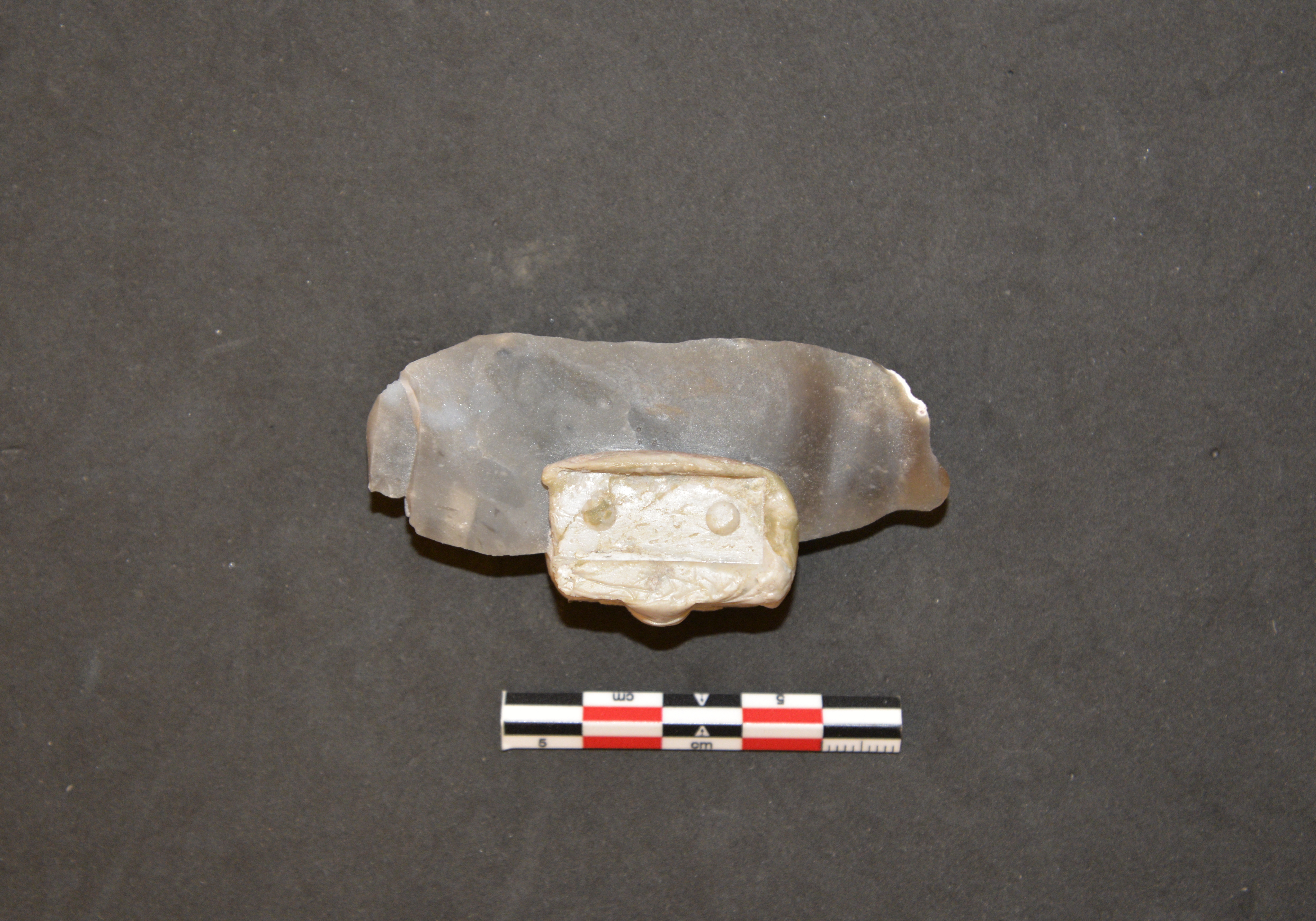 Ventral side of blade FLT13-12. Ventral side of blade FLT13-12.