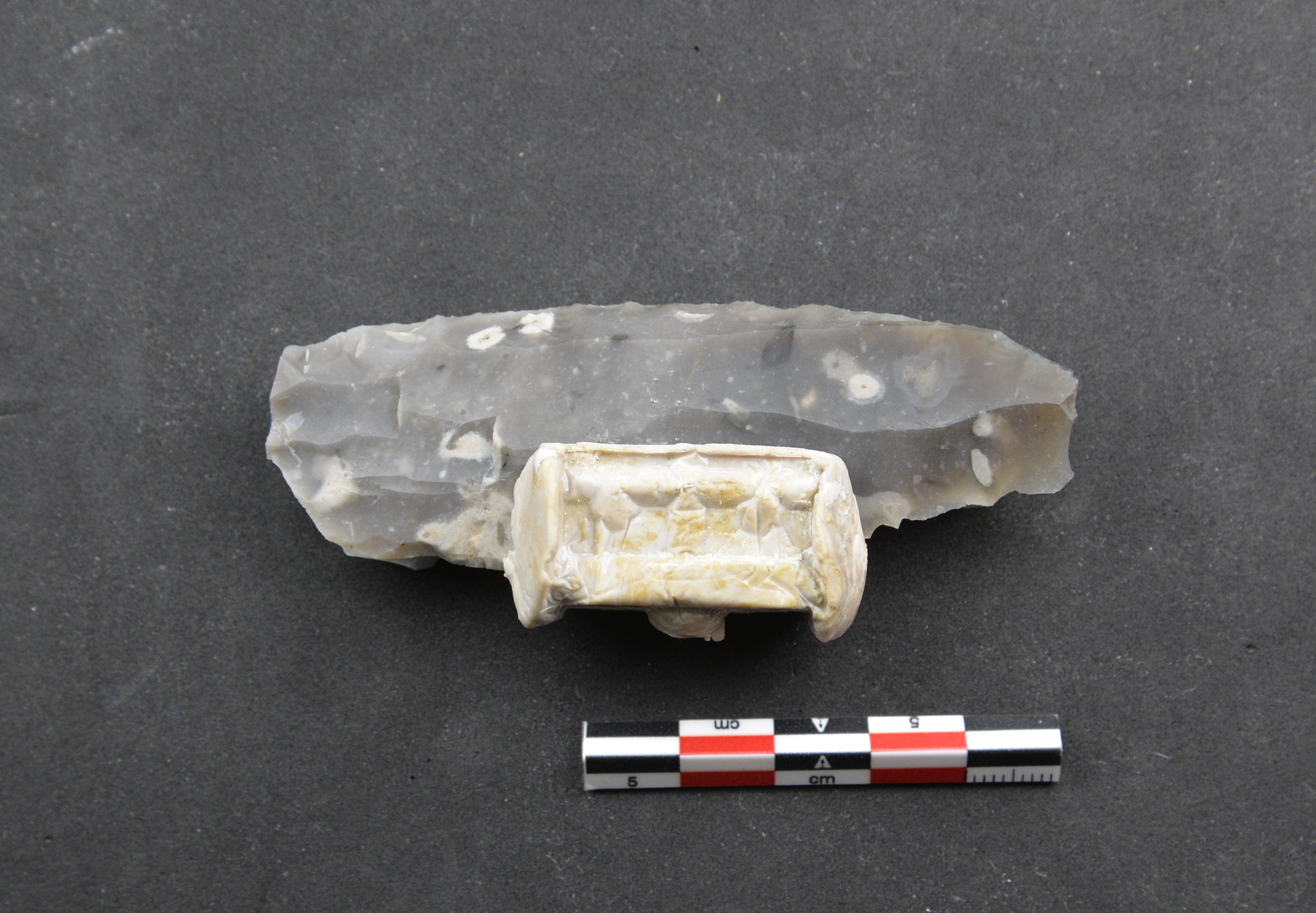 Experimentally knapped blade (FLT13-1) (dorsal) tool sample. Experimentally knapped blade (FLT13-1) (dorsal) tool sample.