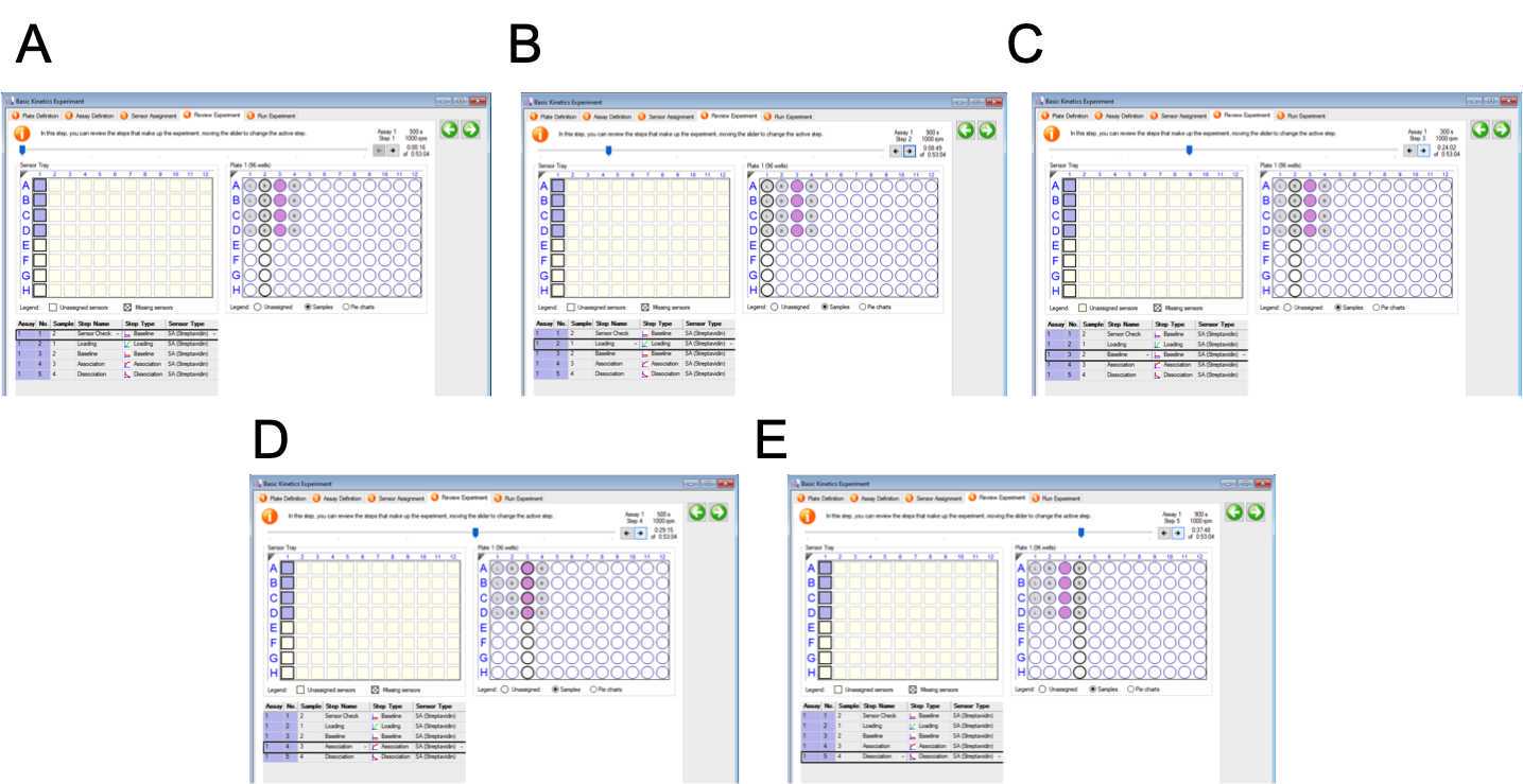Figure 4: Experiment Review. (A) Step 1: Sensor Check in Column 2 (Buffer). (B) Step 2: Loading in Column 1 (DNA). (C) Step 3: Baseline in Column 2 (Buffer). (D) Step 4: Association in Column 3 (Protein). (E) Step 5: Dissociation in Column 5 (Buffer). Figure 4: Experiment Review. (A) Step 1: Sensor Check in Column 2 (Buffer). (B) Step 2: Loading in Column 1 (DNA). (C) Step 3: Baseline in Column 2 (Buffer). (D) Step 4: Association in Column 3 (Protein). (E) Step 5: Dissociation in Column 5 (Buffer).