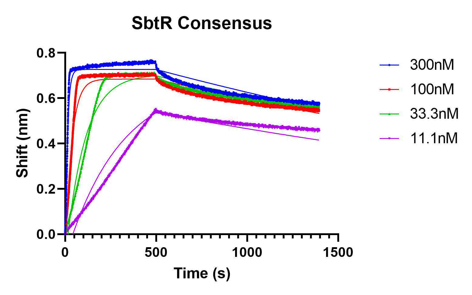 Figure 6: Graphical representation of BLI results showing binding of the thermophilic protein, SbtR, to its consensus DNA-binding sequence. Closed circles indicate individual data points and solid lines represent the nonlinear regression line of best fit. Figure 6: Graphical representation of BLI results showing binding of the thermophilic protein, SbtR, to its consensus DNA-binding sequence. Closed circles indicate individual data points and solid lines represent the nonlinear regression line of best fit.
