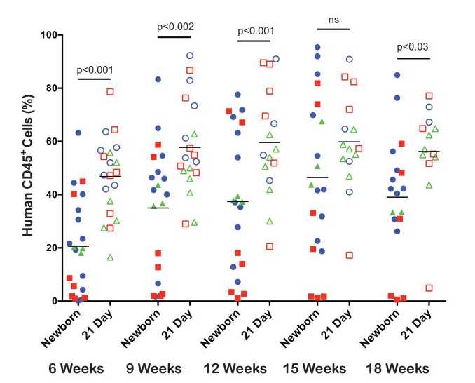 Figure 1. Human cell chimerism levels in peripheral blood of NSG mice engrafted with human HSCNewborn and 21-day old NSG mice were irradiated and injected IV via intracardiac route (newborn) or the tail vein (21-day old) with T cell depleted UCB containing CD34+cells. At 6– 18 weeks after HSC injection, the percentages of human CD45 positive cells were determined by flow cytometry. Each shape represents an individual animal, and points of the same color and shape are from independent experiments (N=3). Figure 1. Human cell chimerism levels in peripheral blood of NSG mice engrafted with human HSCNewborn and 21-day old NSG mice were irradiated and injected IV via intracardiac route (newborn) or the tail vein (21-day old) with T cell depleted UCB containing CD34+cells. At 6– 18 weeks after HSC injection, the percentages of human CD45 positive cells were determined by flow cytometry. Each shape represents an individual animal, and points of the same color and shape are from independent experiments (N=3).