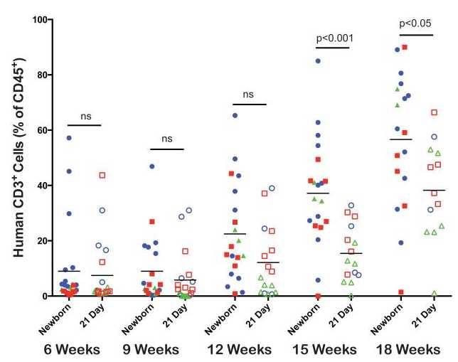Figure 3. Human CD3+ T cell development in peripheral blood of NSG mice engrafted with human HSCNewborn and 21-day old NSG mice were irradiated and injected IV via intracardiac route (newborn) or the tail vein (21-day old) with T cell depleted UCB containing CD34+cells. At 6– 18 weeks after HSC injection, the percentages of human CD3 positive T cells were determined by flow cytometry. Each shape represents an individual animal, and points of the same color and shape are from independent experiments (N=3). Figure 3. Human CD3+ T cell development in peripheral blood of NSG mice engrafted with human HSCNewborn and 21-day old NSG mice were irradiated and injected IV via intracardiac route (newborn) or the tail vein (21-day old) with T cell depleted UCB containing CD34+cells. At 6– 18 weeks after HSC injection, the percentages of human CD3 positive T cells were determined by flow cytometry. Each shape represents an individual animal, and points of the same color and shape are from independent experiments (N=3).
