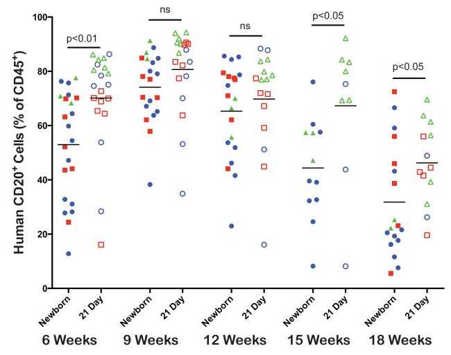 Figure 4. Human CD20+ B cell development in peripheral blood of NSG mice engrafted with human HSCNewborn and 21-day old NSG mice were irradiated and injected IV via intracardiac route (newborn) or the tail vein (21-day old) with T cell depleted UCB containing CD34+cells. At 6– 18 weeks after HSC injection, the percentages of human CD20 positive T cells were determined by flow cytometry. Each shape represents an individual animal, and points of the same color and shape are from independent experiments (N=3). Figure 4. Human CD20+ B cell development in peripheral blood of NSG mice engrafted with human HSCNewborn and 21-day old NSG mice were irradiated and injected IV via intracardiac route (newborn) or the tail vein (21-day old) with T cell depleted UCB containing CD34+cells. At 6– 18 weeks after HSC injection, the percentages of human CD20 positive T cells were determined by flow cytometry. Each shape represents an individual animal, and points of the same color and shape are from independent experiments (N=3).