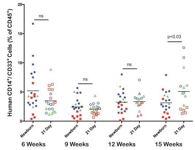 Figure 5. Human monocyte/macrophage development in peripheral blood of NSG mice engrafted with human HSCNewborn and 21-day old NSG mice were irradiated and injected IV via intracardiac route (newborn) or the tail vein (21-day old) with T cell depleted UCB containing CD34+cells. At 6– 15 weeks after HSC injection, the percentages of human CD14/CD33+ positive myeloid cells were determined by flow cytometry. Each shape represents an individual animal, and points of the same color and shape are from independent experiments (N=3). Figure 5. Human monocyte/macrophage development in peripheral blood of NSG mice engrafted with human HSCNewborn and 21-day old NSG mice were irradiated and injected IV via intracardiac route (newborn) or the tail vein (21-day old) with T cell depleted UCB containing CD34+cells. At 6– 15 weeks after HSC injection, the percentages of human CD14/CD33+ positive myeloid cells were determined by flow cytometry. Each shape represents an individual animal, and points of the same color and shape are from independent experiments (N=3).