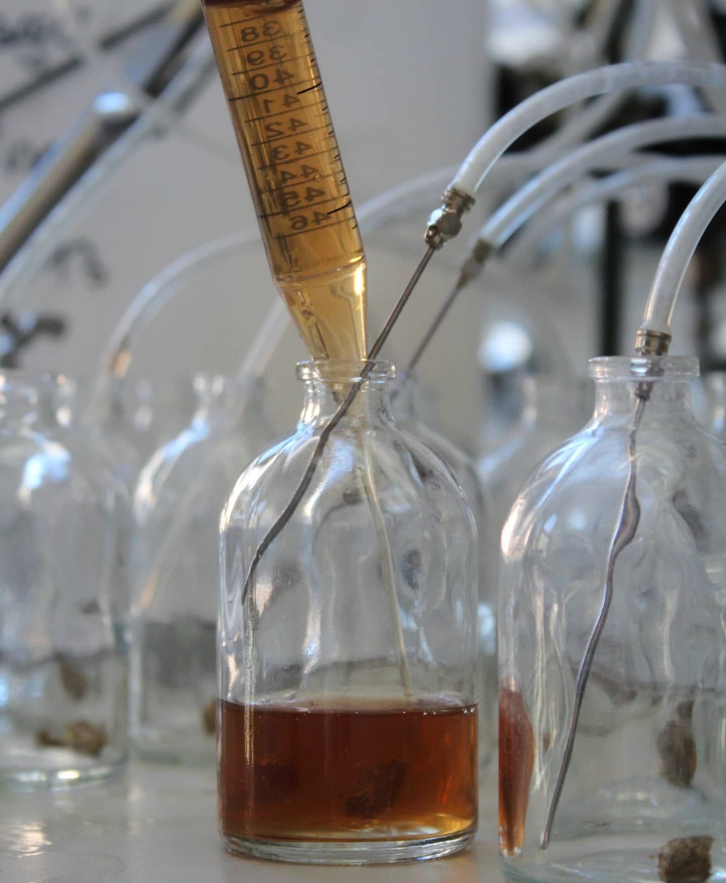 Dispension of the medium into 120mL glass serum bottles (max. 50mL per bottle). Picture copyright: Julia Vinzelj & Nico Peer Dispension of the medium into 120mL glass serum bottles (max. 50mL per bottle). Picture copyright: Julia Vinzelj & Nico Peer
