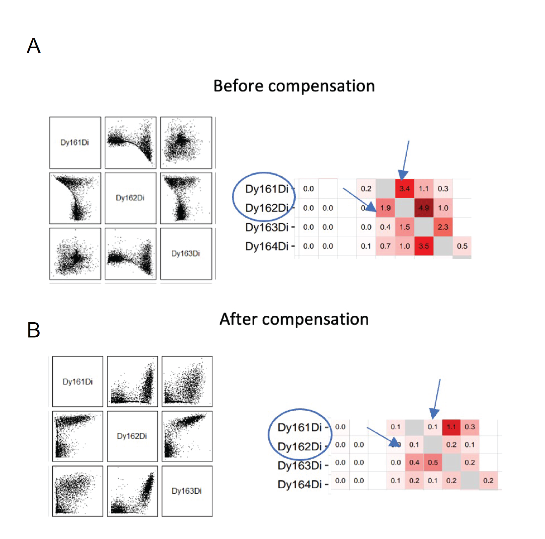 Figure 3. Example of correct compensation of Spillover Matrix and Scatterplots. Have a look at the first Spillover matrix obtained and try to decrease the values for each channel where needed. The rows represent the x-axis, and the columns represent the y-axis. Manually adjust the values for individual channels in the upper triangle by decreasing them. Figure 3. Example of correct compensation of Spillover Matrix and Scatterplots. Have a look at the first Spillover matrix obtained and try to decrease the values for each channel where needed. The rows represent the x-axis, and the columns represent the y-axis. Manually adjust the values for individual channels in the upper triangle by decreasing them.