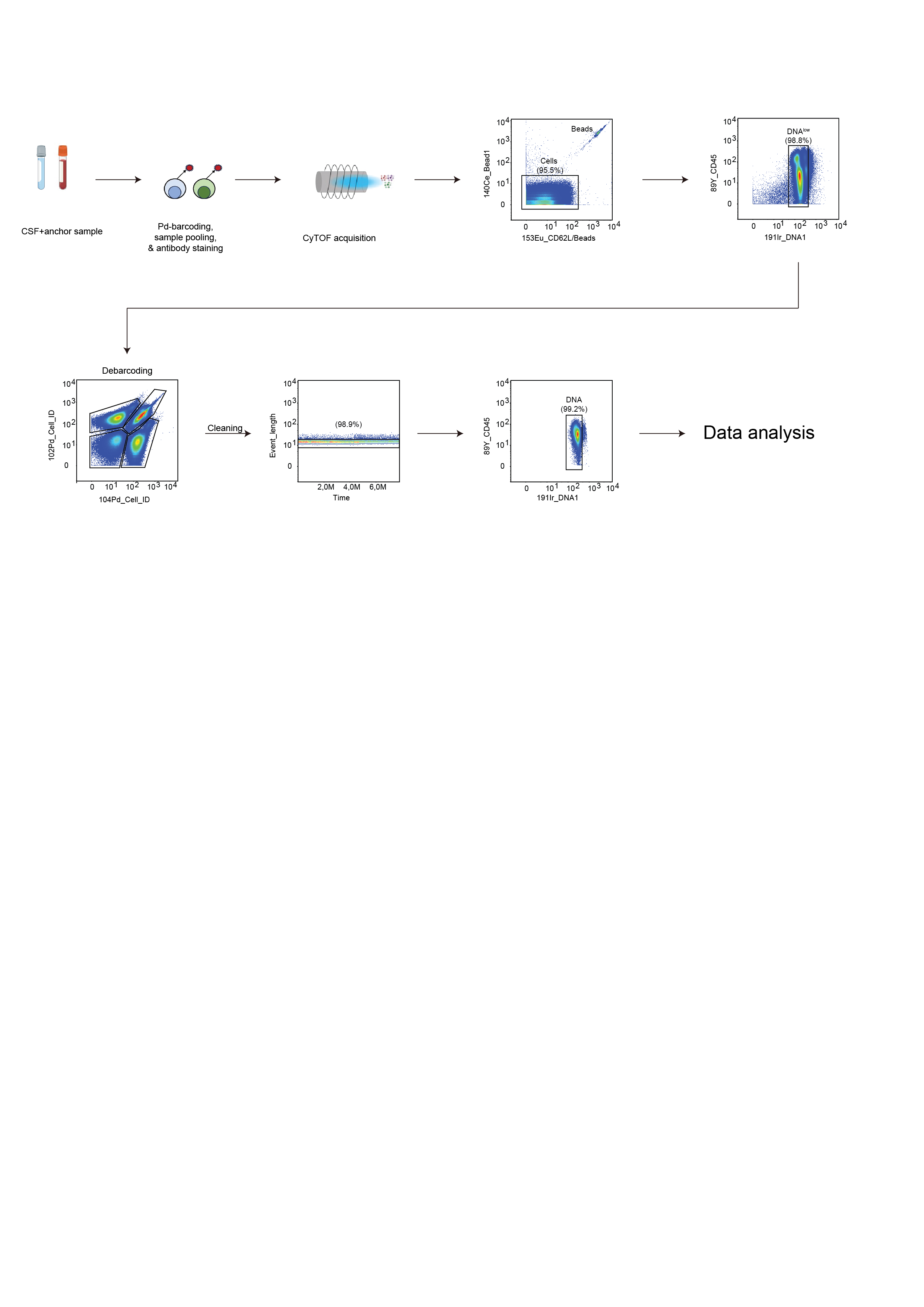 Figure 1. Representative plots of sample barcoding, staining and gating strategy. Samples are barcoded, pooled and stained with a panel of metal-conjugated antibodies and acquired on the CyTOF instrument. Prior to the data analysis each individual sample is de-barcoded on FlowJo. Figure adapted with BioRender.com. Figure 1. Representative plots of sample barcoding, staining and gating strategy. Samples are barcoded, pooled and stained with a panel of metal-conjugated antibodies and acquired on the CyTOF instrument. Prior to the data analysis each individual sample is de-barcoded on FlowJo. Figure adapted with BioRender.com.