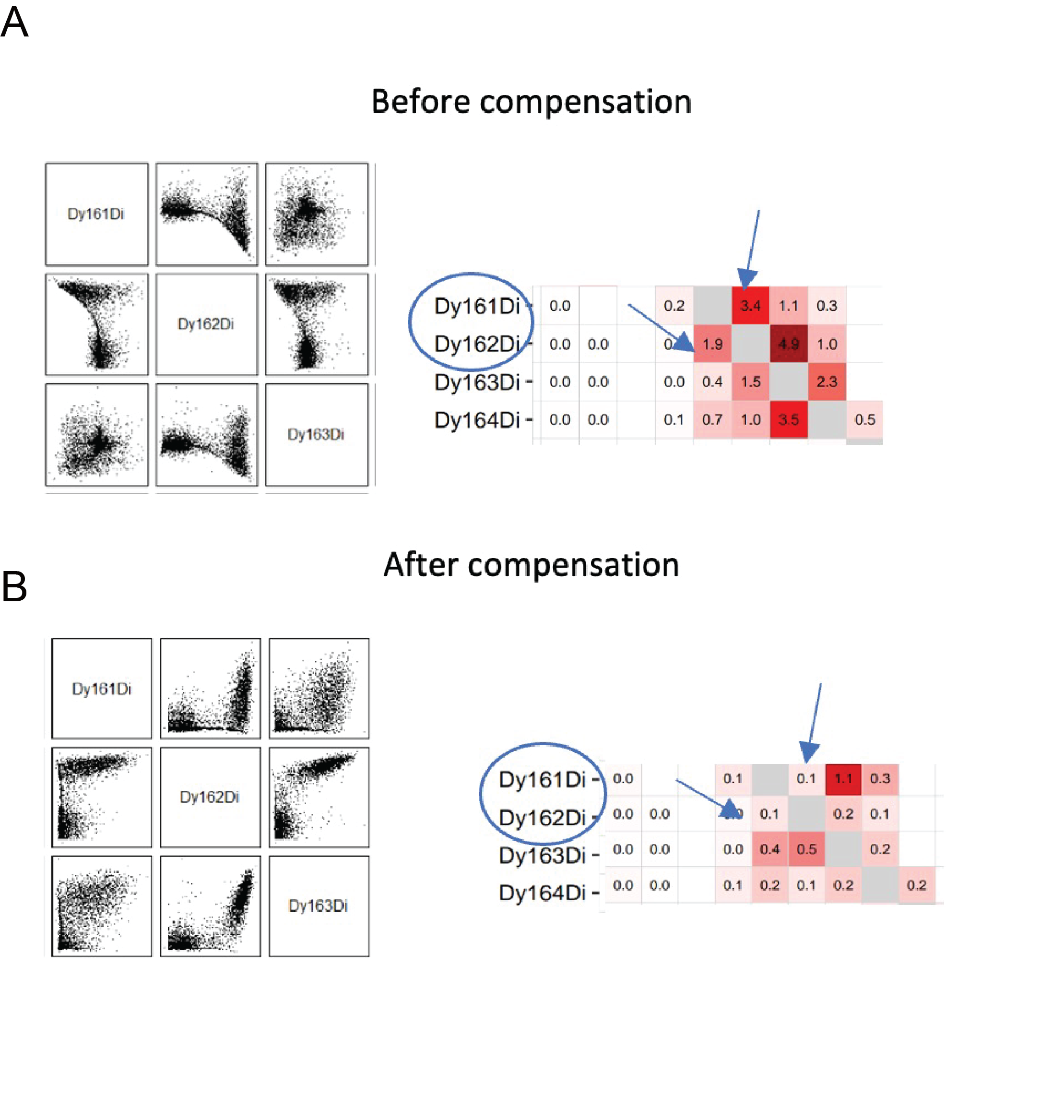 Figure 3. Example of correct compensation of Spillover Matrix and Scatterplots. Have a look at the first Spillover matrix obtained and try to decrease the values for each channel where needed. The rows represent the x-axis, and the columns represent the y-axis. Manually adjust the values for individual channels in the upper triangle by decreasing them. Figure 3. Example of correct compensation of Spillover Matrix and Scatterplots. Have a look at the first Spillover matrix obtained and try to decrease the values for each channel where needed. The rows represent the x-axis, and the columns represent the y-axis. Manually adjust the values for individual channels in the upper triangle by decreasing them.