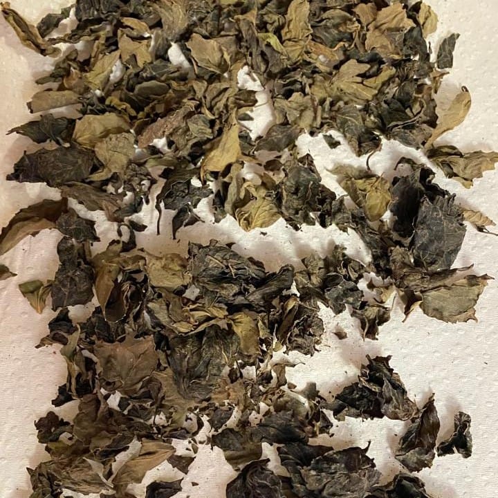 Figure 2. Dried Ocimum basilicum (Sweet Basil) Leaves Post Oven-Heating. Figure 2. Dried Ocimum basilicum (Sweet Basil) Leaves Post Oven-Heating.