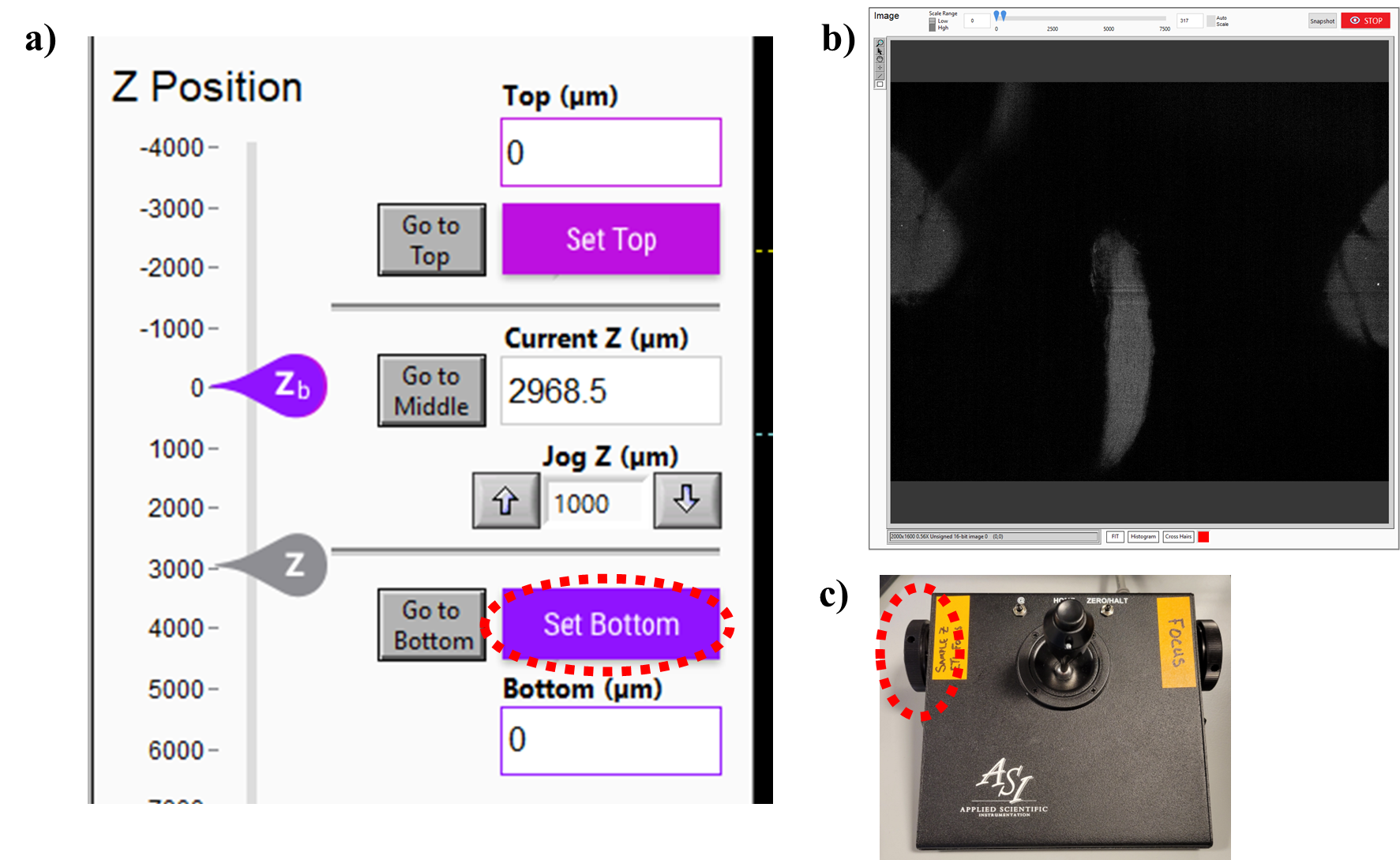 a) Software interface for setting the bottom(z) edge of the brain. To set the position, click on “Set Bottom” button, also in the “Tile and Stack Acquisition Settings” panel of the UI. b) Adjust the depth of focus in the z-direction using the right wheel (c), until the bottom of the brain just drops out of the FOV. Note the irregular shape – brains are often embedded slightly askew. Be sure to scan around the central region of the brain, as well as the front for the olfactory bulbs and the rear for the brainstem. a) Software interface for setting the bottom(z) edge of the brain. To set the position, click on “Set Bottom” button, also in the “Tile and Stack Acquisition Settings” panel of the UI. b) Adjust the depth of focus in the z-direction using the right wheel (c), until the bottom of the brain just drops out of the FOV. Note the irregular shape – brains are often embedded slightly askew. Be sure to scan around the central region of the brain, as well as the front for the olfactory bulbs and the rear for the brainstem.