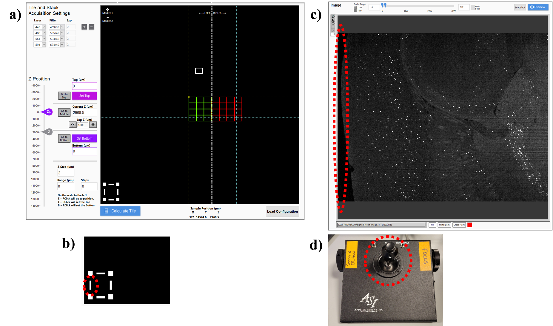 a) Software interface for setting the left(xy) edge of the brain. b) To set the position, click on the left edge of the white box in the lower left corner of the “Tile and Stack Acquisition Settings panel (circled in red). c) Left edge of the brain aligned to the left edge of the FOV. d) Move in the xy-plane using the joystick. a) Software interface for setting the left(xy) edge of the brain. b) To set the position, click on the left edge of the white box in the lower left corner of the “Tile and Stack Acquisition Settings panel (circled in red). c) Left edge of the brain aligned to the left edge of the FOV. d) Move in the xy-plane using the joystick.