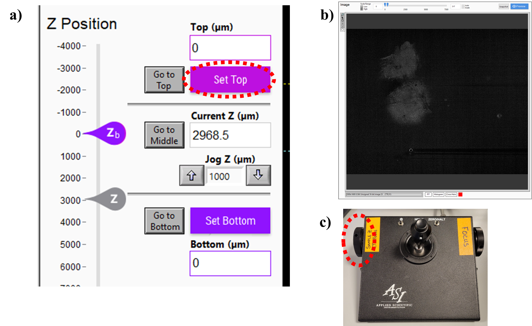 a) Software interface for setting the top(z) edge of the brain. To set the position, click on “Set Top” button, also in the “Tile and Stack Acquisition Settings” panel of the UI. b) Adjust the depth of focus in the z-direction using the right wheel (c), until the top of the brain just drops out of the FOV. Note the irregular shape – brains are often embedded slightly askew. Be sure to scan around the central region of the brain. a) Software interface for setting the top(z) edge of the brain. To set the position, click on “Set Top” button, also in the “Tile and Stack Acquisition Settings” panel of the UI. b) Adjust the depth of focus in the z-direction using the right wheel (c), until the top of the brain just drops out of the FOV. Note the irregular shape – brains are often embedded slightly askew. Be sure to scan around the central region of the brain.