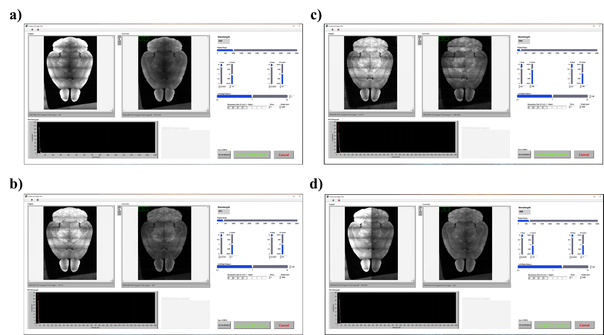 a-d) Before-and-after images when adjusting the flat correction. a-b) Raw images are on the left (brighter white) and the stitched image with the flats applied are on the right (dimmer grey). A poorly applied flat correction, as in (c), leaves tiling artifacts. The mismatched L/R power in (d) can be corrected digitally in this step, (one hemisphere is brighter than the other in the raw image on the right), however, background noise is also increased in the digitally brightened hemisphere. a-d) Before-and-after images when adjusting the flat correction. a-b) Raw images are on the left (brighter white) and the stitched image with the flats applied are on the right (dimmer grey). A poorly applied flat correction, as in (c), leaves tiling artifacts. The mismatched L/R power in (d) can be corrected digitally in this step, (one hemisphere is brighter than the other in the raw image on the right), however, background noise is also increased in the digitally brightened hemisphere.