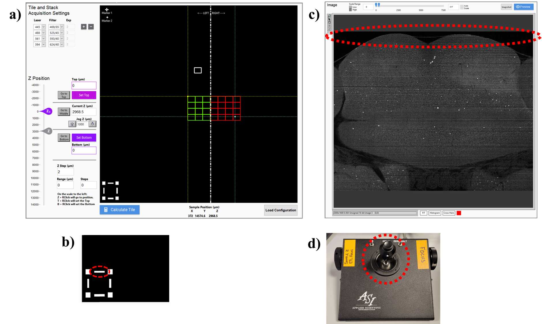 a) Software interface for setting the top(xy) edge of the brain. b) To set the position, click on the top edge of the white box in the lower left corner of the “Tile and Stack Acquisition Settings panel (circled in red). c) Top(xy) edge of the brain aligned to the top edge of the FOV. d) Move in the xy-plane using the joystick. a) Software interface for setting the top(xy) edge of the brain. b) To set the position, click on the top edge of the white box in the lower left corner of the “Tile and Stack Acquisition Settings panel (circled in red). c) Top(xy) edge of the brain aligned to the top edge of the FOV. d) Move in the xy-plane using the joystick.