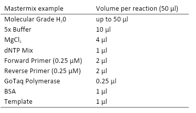 Example for PCR master mix. Example for PCR master mix.
