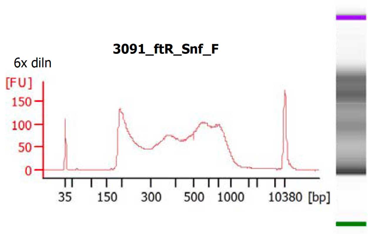 Typical Bioanalyzer trace for a fallopian tube bulk ATACseq library. Typical Bioanalyzer trace for a fallopian tube bulk ATACseq library.