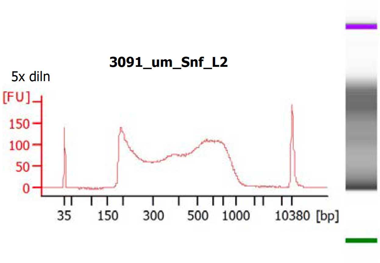 Typical Bioanalyzer trace for a uterine endomyometrium bulk ATACseq library. Typical Bioanalyzer trace for a uterine endomyometrium bulk ATACseq library.