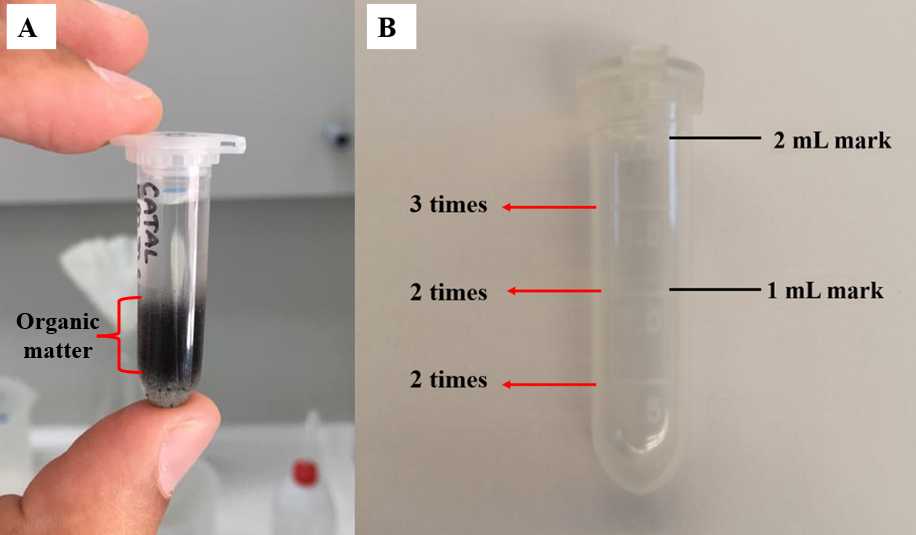 Figure 7. Example of the SPT removal process. A. Floating fraction after first centrifuge round. Notice the organic matter suspended between (or from) the bottom and/or to the middle of the tube; B. Guide for the washing procedure. Figure 7. Example of the SPT removal process. A. Floating fraction after first centrifuge round. Notice the organic matter suspended between (or from) the bottom and/or to the middle of the tube; B. Guide for the washing procedure.