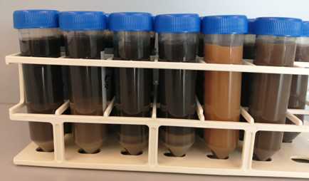 Figure 5. Sediment samples after 24 h in Calgon. Figure 5. Sediment samples after 24 h in Calgon.