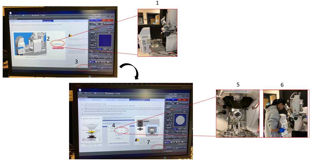 Figure 7. Placeholder in the Chamber Figure 7. Placeholder in the Chamber