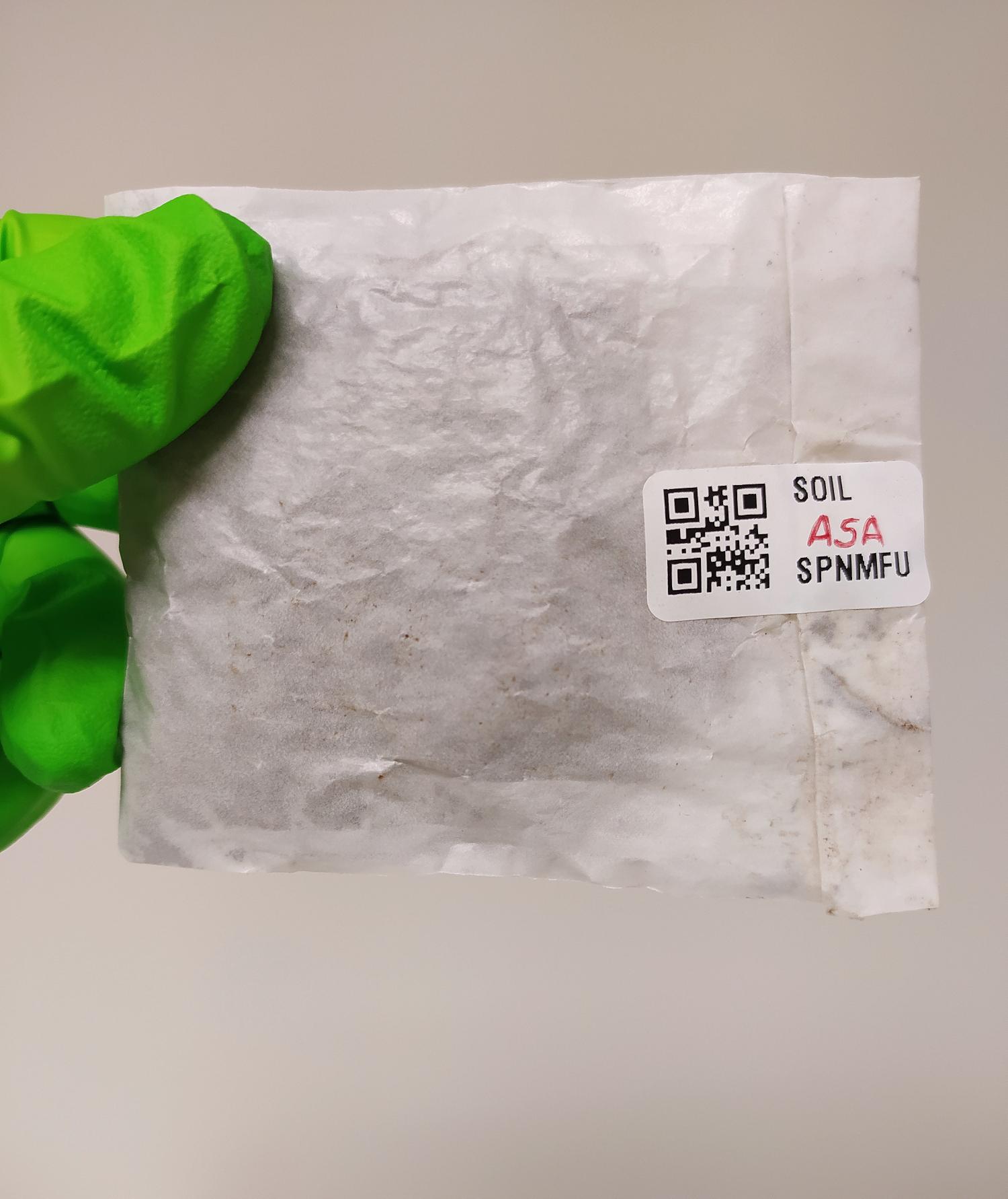 Labelled paper bag containing the final sample. The label associates the sample with the relevant metadata. Labelled paper bag containing the final sample. The label associates the sample with the relevant metadata.