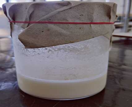 Formation of amino ester hydrochloride salt Formation of amino ester hydrochloride salt