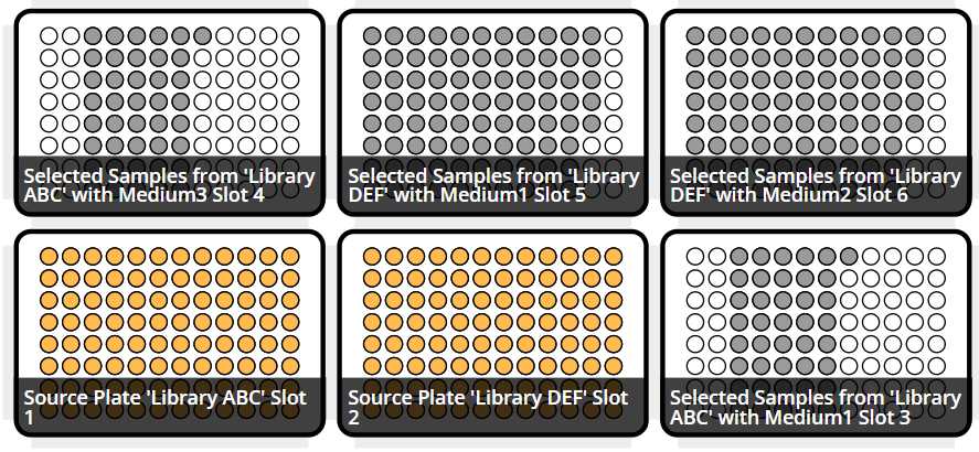 Final layout of source and final plates in the run Final layout of source and final plates in the run