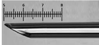 Reference pipette tip to illustrate the max bevel size (600 µm = 1.5 units) and how to measure the bevel size (parallel to the pipette axis). Reference pipette tip to illustrate the max bevel size (600 µm = 1.5 units) and how to measure the bevel size (parallel to the pipette axis).