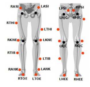 Figure: Lower body Plug-in Gait marker set. Reference figure: doi:10.1371/journal.pone.0102098.g001 Figure: Lower body Plug-in Gait marker set. Reference figure: doi:10.1371/journal.pone.0102098.g001