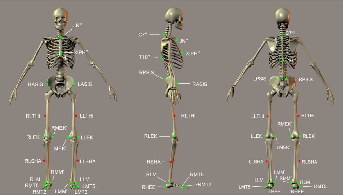 Figure: Front, side and rear view of the marker set used in HBM-||. Green markers are anatomical markers used to define the skeleton during initialization. Figure: Front, side and rear view of the marker set used in HBM-||. Green markers are anatomical markers used to define the skeleton during initialization.
