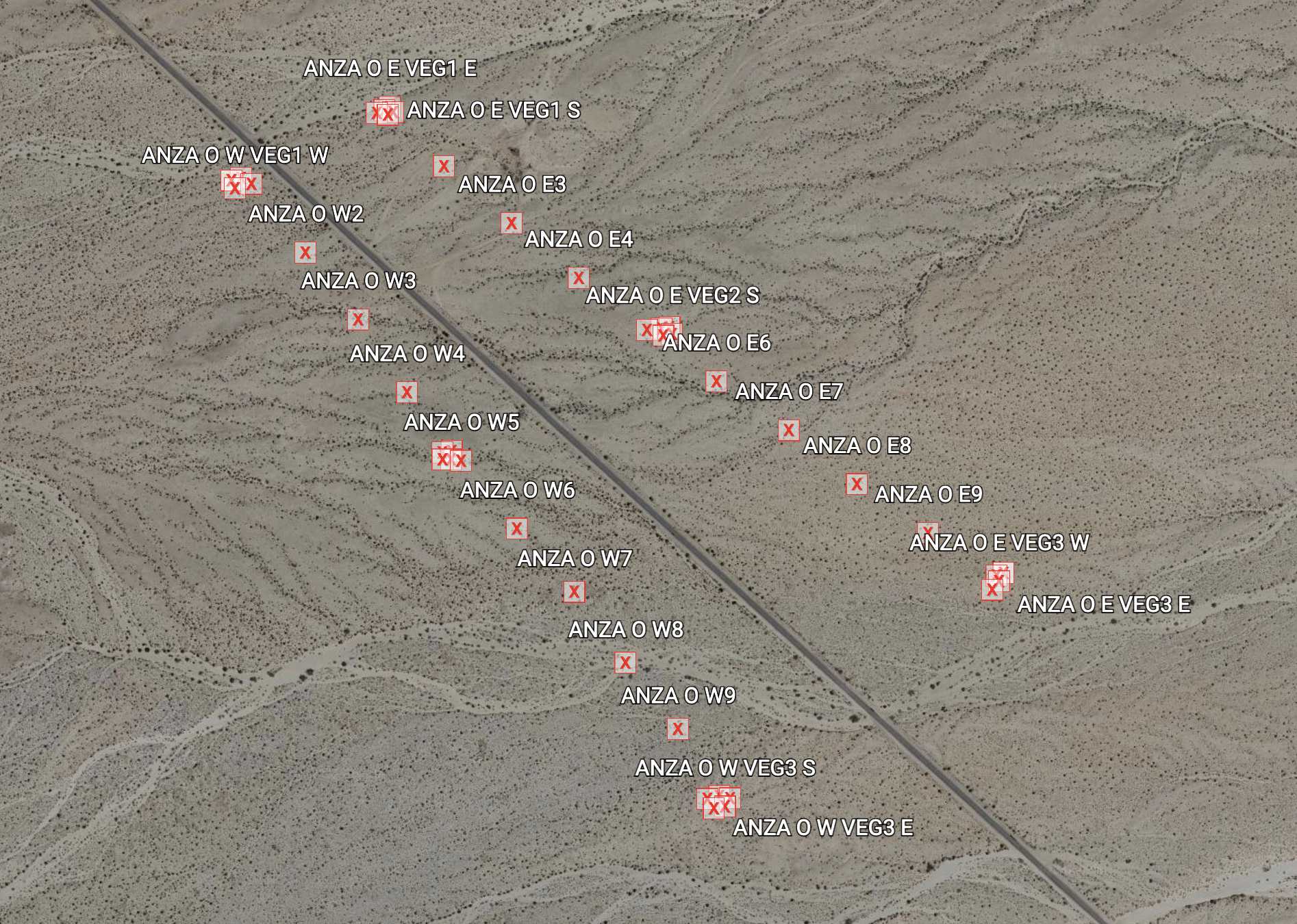 Anza O site (BLM land) as an example. Two transects, netting and trapping are alternated between visits. Veg plots are located at each end (flag 1 and 10) and middle (flag 5) of each transect. Anza O site (BLM land) as an example. Two transects, netting and trapping are alternated between visits. Veg plots are located at each end (flag 1 and 10) and middle (flag 5) of each transect.