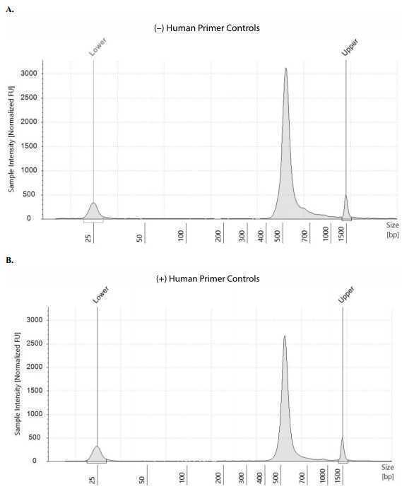 Figure 56: Example of final library size distributions on a TapeStation. ARTIC SARS-CoV-2 librarieswere generated from 1000 viral copies in the absence (A) or presence (B) of the human primer controls. Figure 56: Example of final library size distributions on a TapeStation. ARTIC SARS-CoV-2 librarieswere generated from 1000 viral copies in the absence (A) or presence (B) of the human primer controls.