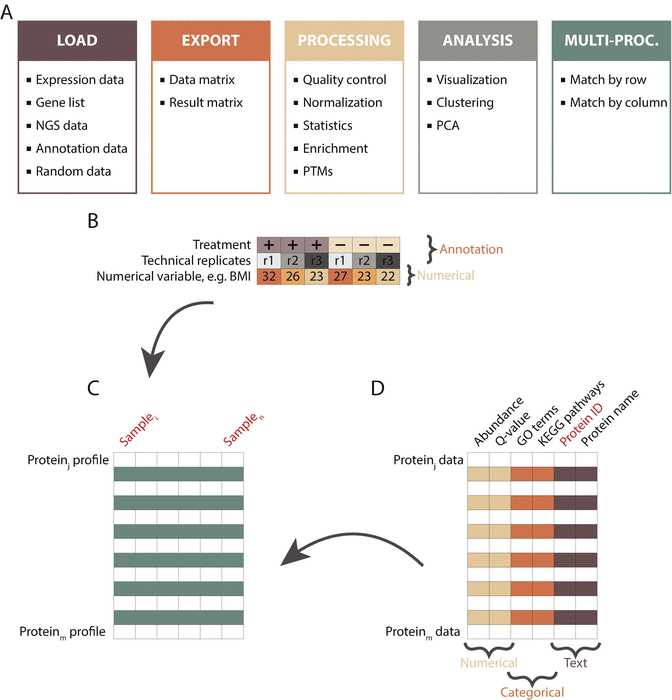 Fig. 2Interfaces of Perseus and the augmented data matrix format. (a) Perseus extends over five interfaces, each of which includes various analysis and transformation functionalities and visualization possibilities. (b) Experimental design is specified as annotation (e.g., treatment vs. control groups) or numerical rows (e.g., variable concentration). Multiple annotation rows can be specified that allow biological and technical replicates to be analyzed together. (c) The data is organized in a matrix format where typically all samples are displayed as columns and all proteins as rows. (d) Additional protein information can be added in the form of Numerical, Categorical, or Text annotations Fig. 2Interfaces of Perseus and the augmented data matrix format. (a) Perseus extends over five interfaces, each of which includes various analysis and transformation functionalities and visualization possibilities. (b) Experimental design is specified as annotation (e.g., treatment vs. control groups) or numerical rows (e.g., variable concentration). Multiple annotation rows can be specified that allow biological and technical replicates to be analyzed together. (c) The data is organized in a matrix format where typically all samples are displayed as columns and all proteins as rows. (d) Additional protein information can be added in the form of Numerical, Categorical, or Text annotations