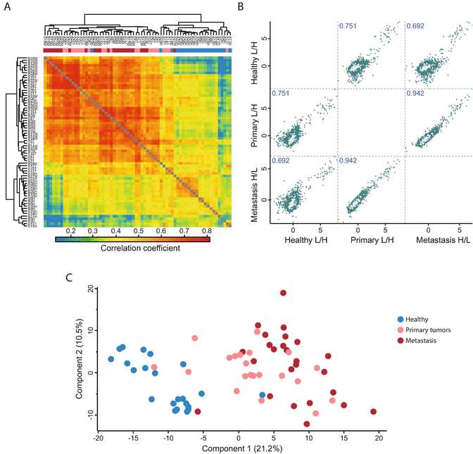 Fig. 3Exploratory analysis outputs in Perseus. (a) Hierarchical clustering of all the samples based on the correlation coefficients between them reveals higher similarity between primary and metastatic tumors versus healthy tissue samples. (b) Multi-scatter plot of averaged profiles among the three main groups clearly represents the disease progression by highlighting strong similarities between subsequent stages, e.g., healthy tissue samples are more similar to primary tumors than to metastasis (correlation coefficient 0.76 vs 0.69), whereas primary tumors are most similar to metastasis (R = 0.94). The category Cell division is highlighted in bright green in all pairwise comparison plots. (c) Principal component analysis (PCA) attributes the largest variance to the difference between healthy (blue dots) and cancer tissues (pink and red dots) (Component 1, 21.1%) and shows that primary and metastatic tumors (pink and red dots respectively) are difficult to distinguish Fig. 3Exploratory analysis outputs in Perseus. (a) Hierarchical clustering of all the samples based on the correlation coefficients between them reveals higher similarity between primary and metastatic tumors versus healthy tissue samples. (b) Multi-scatter plot of averaged profiles among the three main groups clearly represents the disease progression by highlighting strong similarities between subsequent stages, e.g., healthy tissue samples are more similar to primary tumors than to metastasis (correlation coefficient 0.76 vs 0.69), whereas primary tumors are most similar to metastasis (R = 0.94). The category Cell division is highlighted in bright green in all pairwise comparison plots. (c) Principal component analysis (PCA) attributes the largest variance to the difference between healthy (blue dots) and cancer tissues (pink and red dots) (Component 1, 21.1%) and shows that primary and metastatic tumors (pink and red dots respectively) are difficult to distinguish