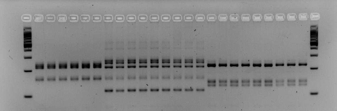 Figure 2: Same as for figure 1. Figure 2: Same as for figure 1.