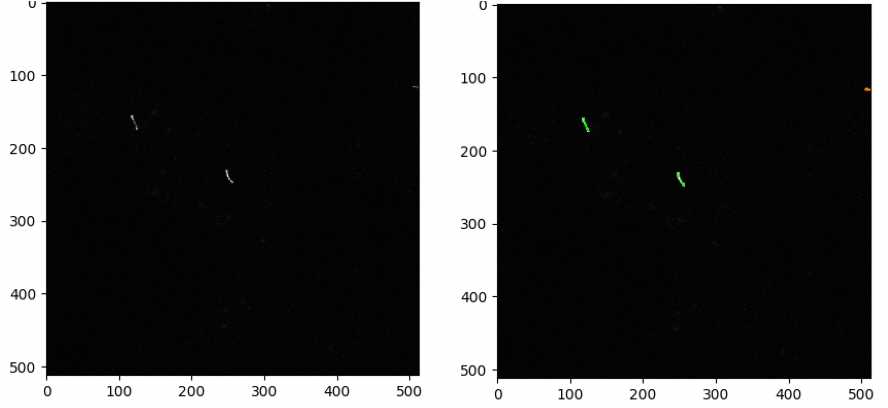 Figure 2: Primary cilia in the input image (left) and cilia identified as objects by CellProfiler (right). Green outlines represent valid objects. Figure 2: Primary cilia in the input image (left) and cilia identified as objects by CellProfiler (right). Green outlines represent valid objects.
