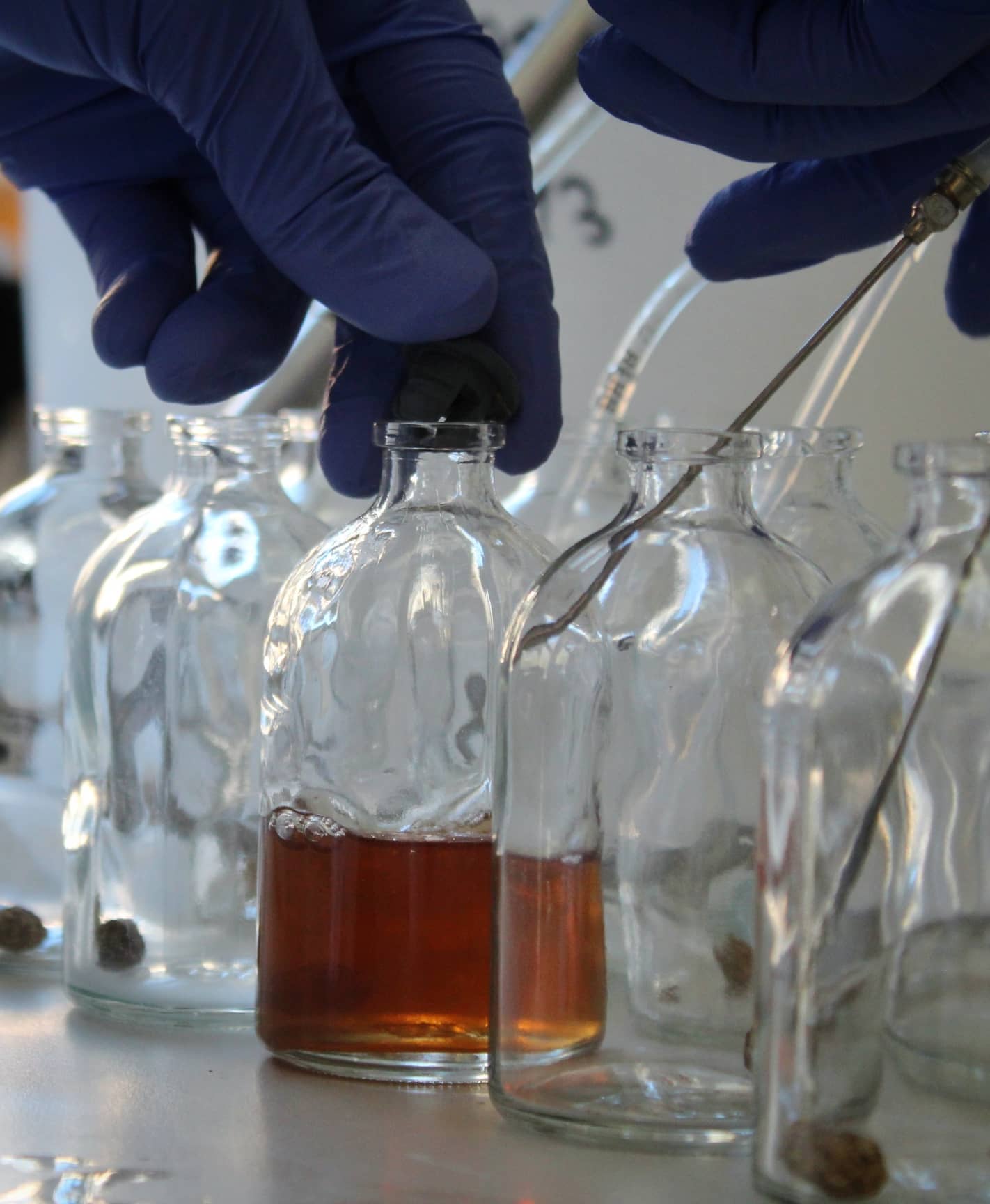Closing of the serum bottles with 3-legged butyl-rubber stoppers after the medium has been dispensed. The medium depicted is not the medium described in this protocol. The process, however, is the same.Picture copyright: Julia Vinzelj & Nico Peer. Closing of the serum bottles with 3-legged butyl-rubber stoppers after the medium has been dispensed. The medium depicted is not the medium described in this protocol. The process, however, is the same.Picture copyright: Julia Vinzelj & Nico Peer.