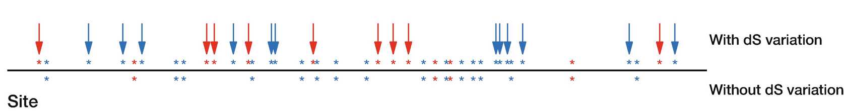 Fig. 5Sites identified as positively (red) and negatively (blue) selected in CD2 at P ≤ 0.1 by FEL run with (above the line) and without dS variation (below the line). Sites with arrows represent those identified as selected by FEL with dS variation that were not identified by FEL when dS variation was ignored Fig. 5Sites identified as positively (red) and negatively (blue) selected in CD2 at P ≤ 0.1 by FEL run with (above the line) and without dS variation (below the line). Sites with arrows represent those identified as selected by FEL with dS variation that were not identified by FEL when dS variation was ignored