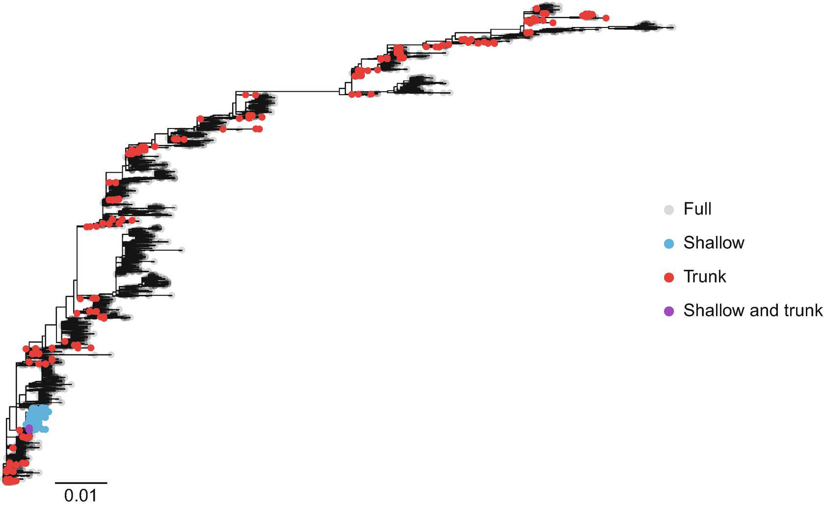 Fig. 3Phylogeny of H3 hemagglutinin sequences analyzed here. Tip colors indicate those selected for each dataset Fig. 3Phylogeny of H3 hemagglutinin sequences analyzed here. Tip colors indicate those selected for each dataset