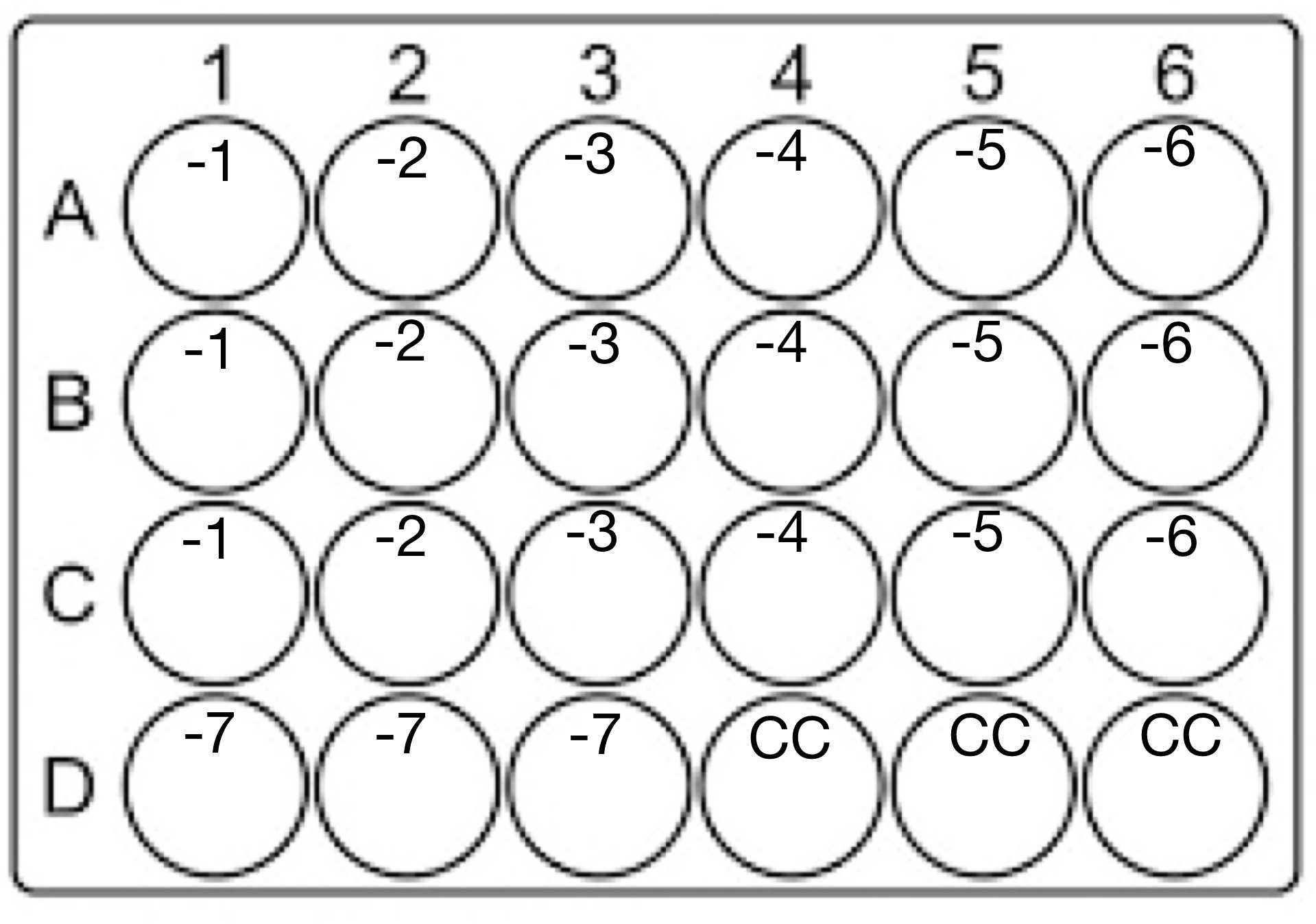 Figura 1. distribución de las diluciones seriadas para la titulación del Virus Dengue. Figura 1. distribución de las diluciones seriadas para la titulación del Virus Dengue.