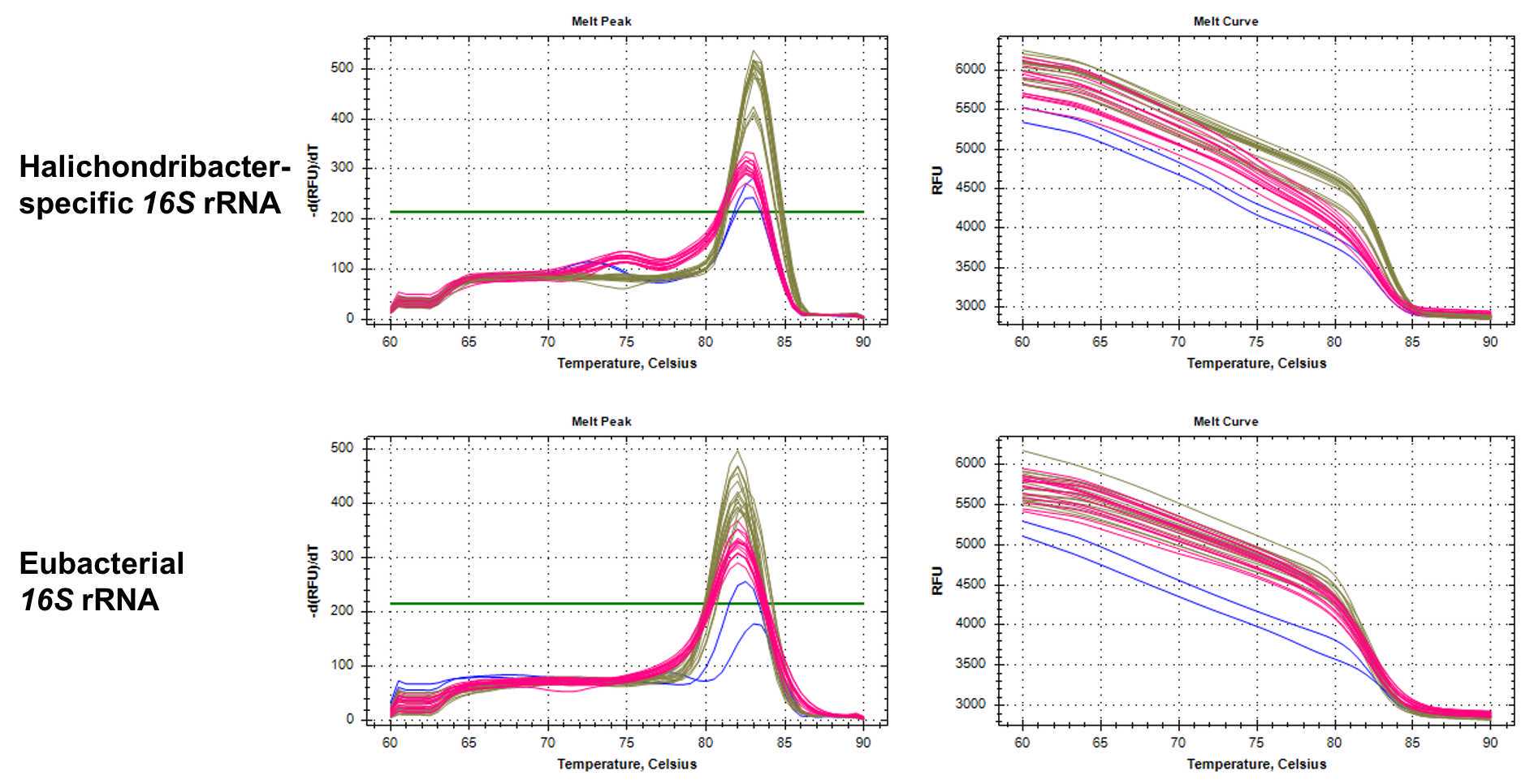 Example melt curves for qPCR products from cDNA. Always check melt curves for correct amplification of one qPCR product, and the overlap of melt curves from standard curve samples and experimental samples. Example melt curves for qPCR products from cDNA. Always check melt curves for correct amplification of one qPCR product, and the overlap of melt curves from standard curve samples and experimental samples.