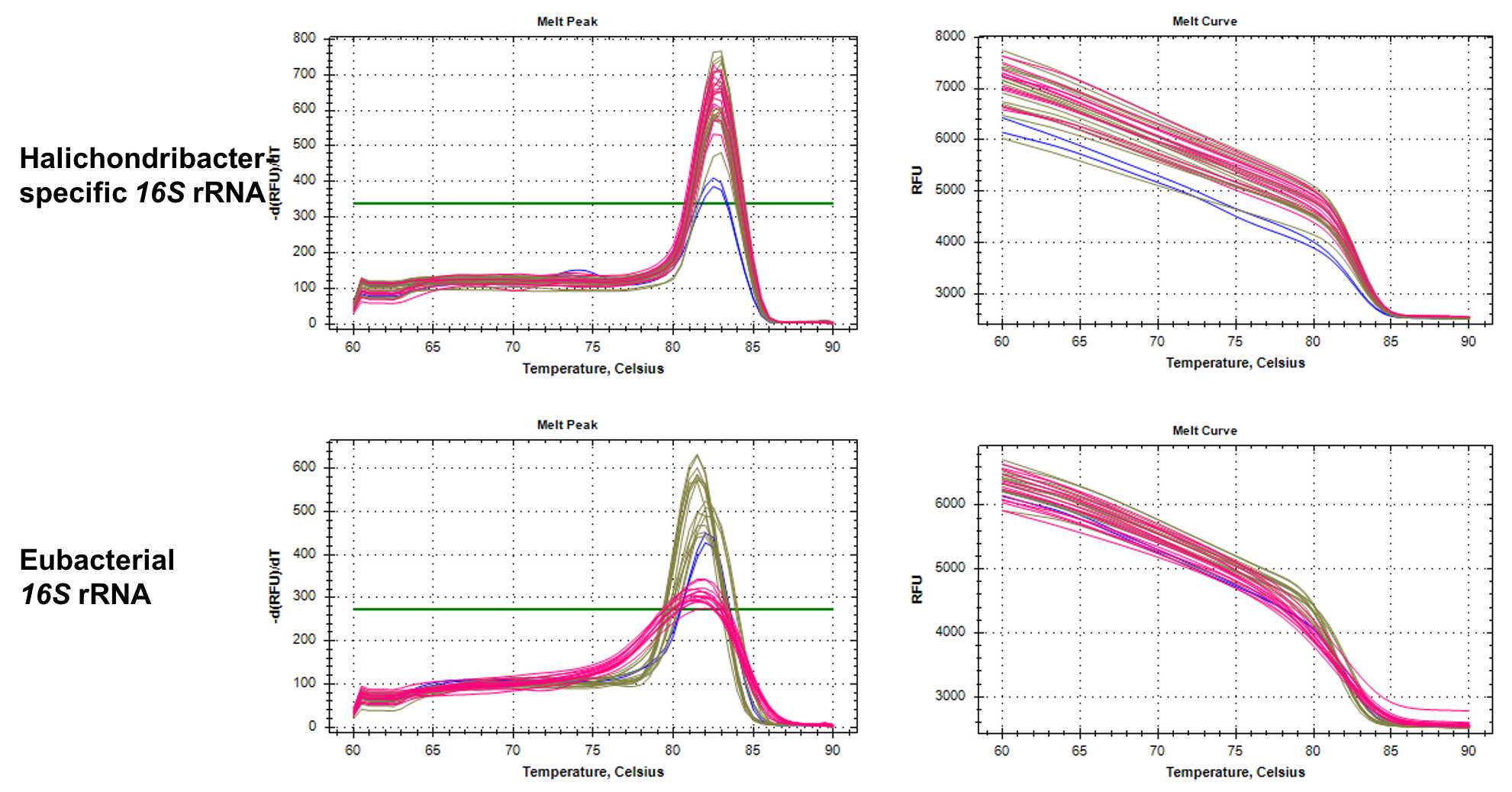 Example melt curves for qPCR products from gDNA. Always check melt curves for correct amplification of one qPCR product, and the overlap of melt curves from standard curve samples and experimental samples. Example melt curves for qPCR products from gDNA. Always check melt curves for correct amplification of one qPCR product, and the overlap of melt curves from standard curve samples and experimental samples.