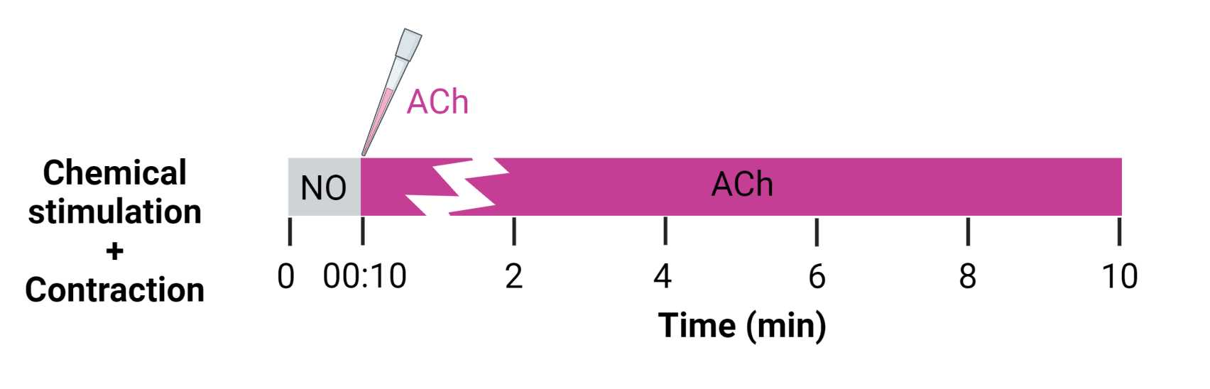 Figure 20. Example chemical stimulation regimen for contraction analysis in brightfield videos. Figure 20. Example chemical stimulation regimen for contraction analysis in brightfield videos.